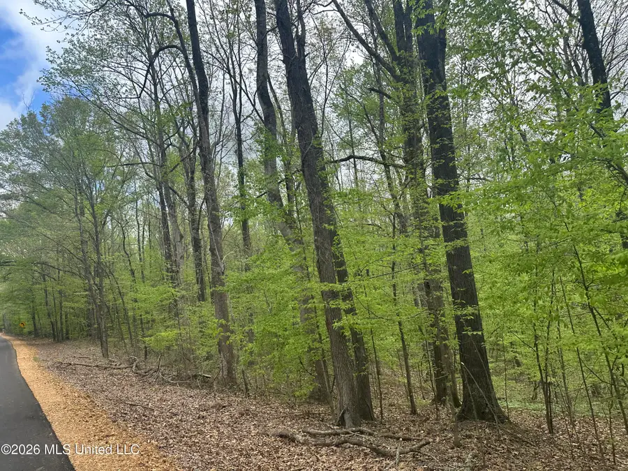 Tanyard Road, Hernando, MS 38632 - #2