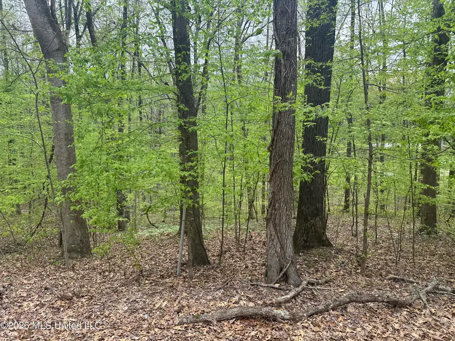Tanyard Road, Hernando, MS 38632 - #3