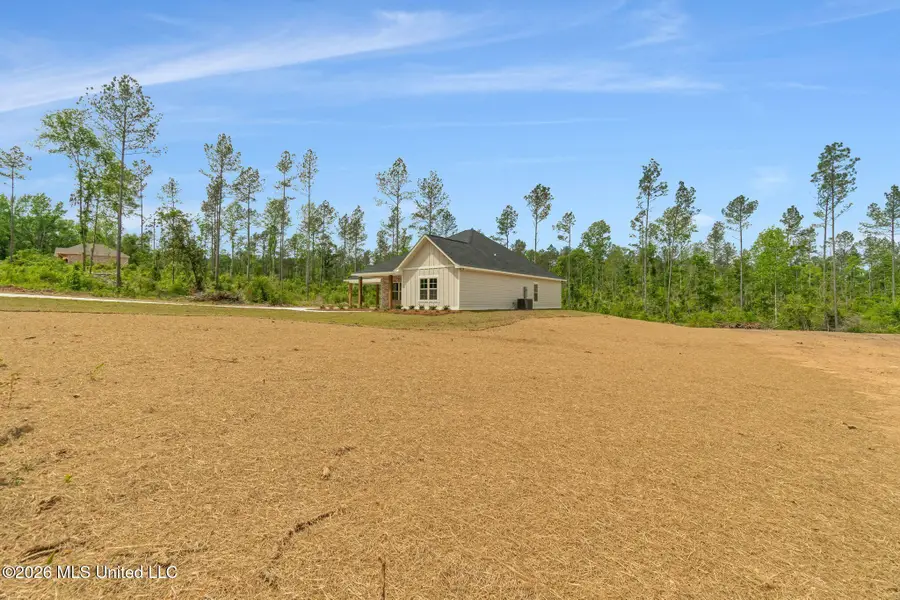 31 Noel Townsend Road, Seminary, MS 39479 - #2