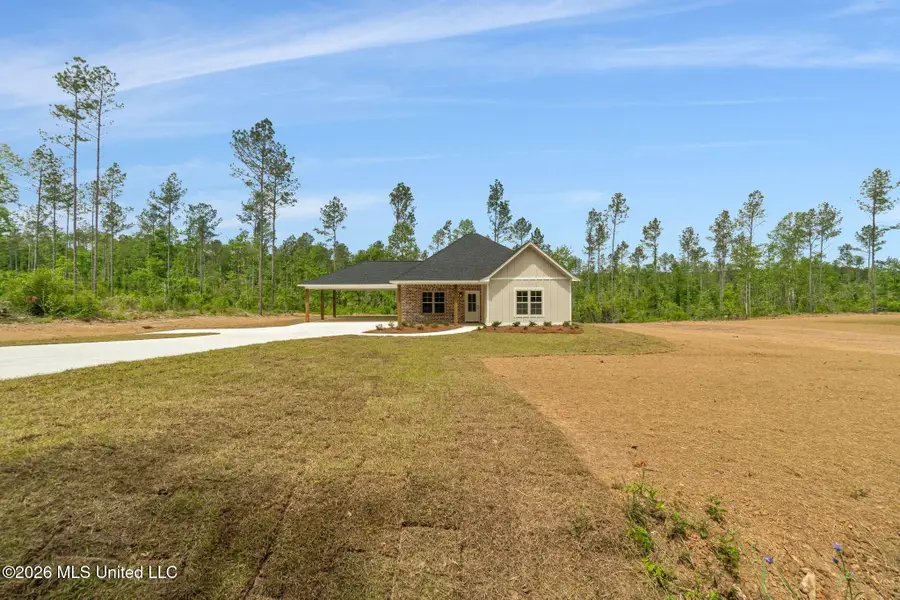 31 Noel Townsend Road, Seminary, MS 39479 - #3
