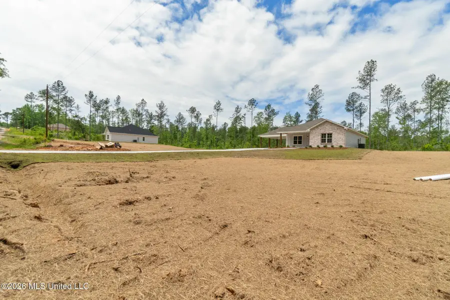 61 Noel Townsend Road, Seminary, MS 39479 - #2