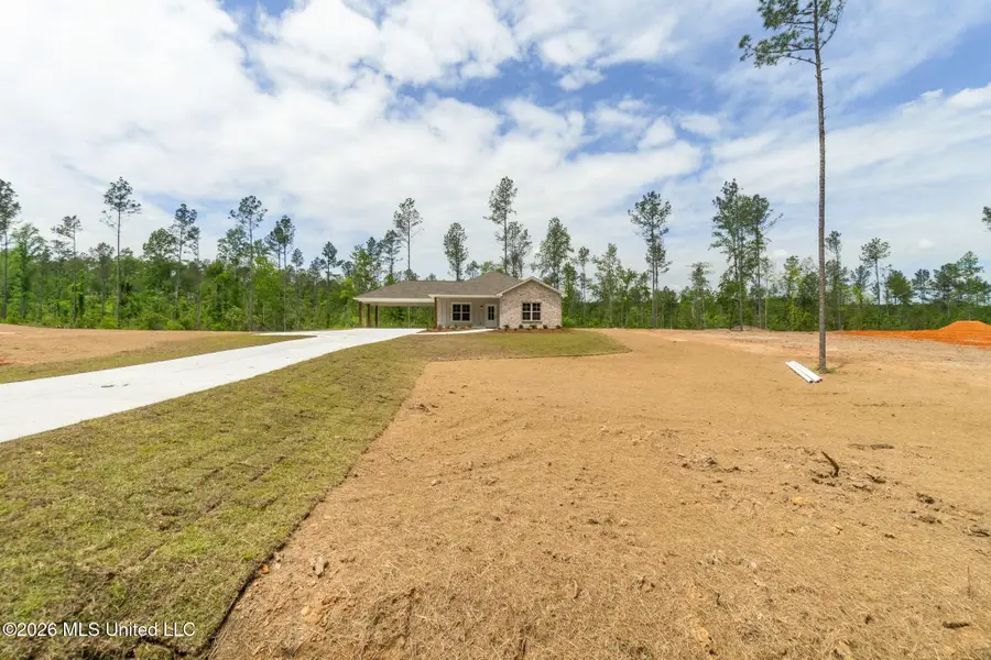 61 Noel Townsend Road, Seminary, MS 39479 - #3