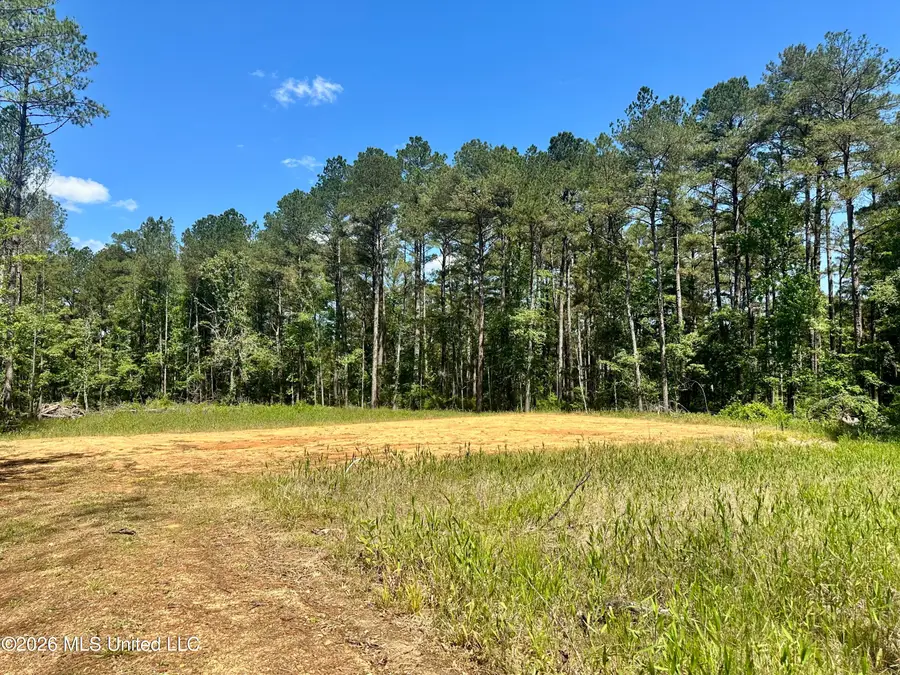 472 Saint John's Road, Braxton, MS 39044 - #2