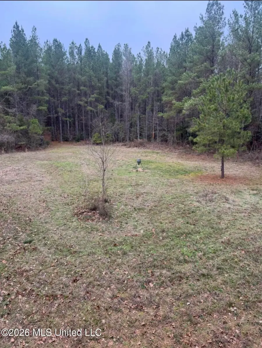 SE Union Road, Brookhaven, MS 39601 - #2