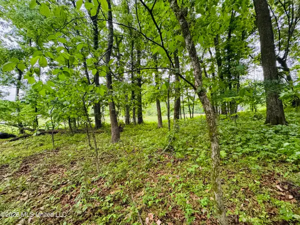 Kimber Cove, Hernando, MS 38632