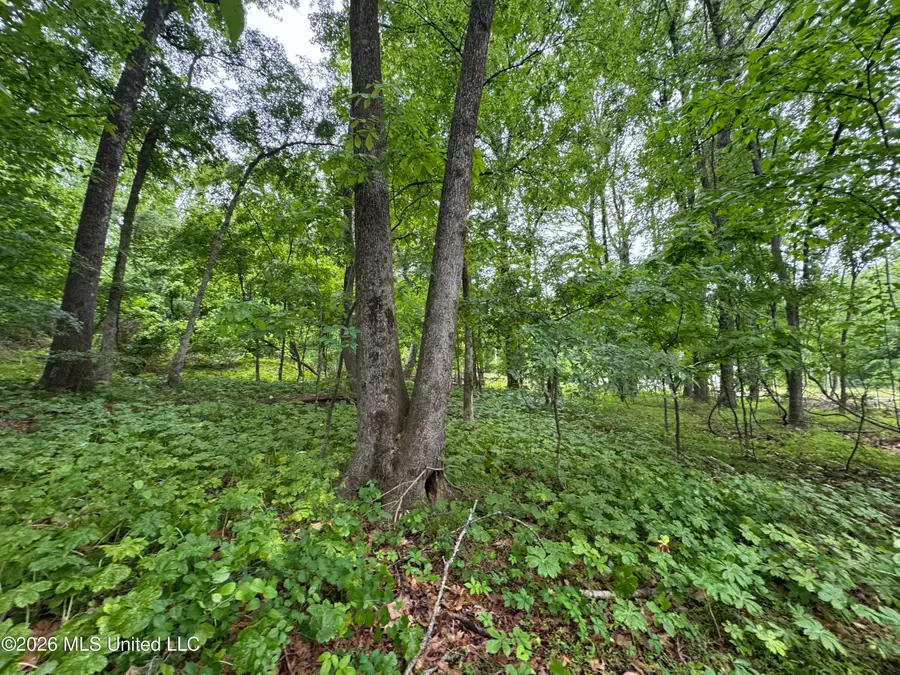 Kimber Cove, Hernando, MS 38632 - #3