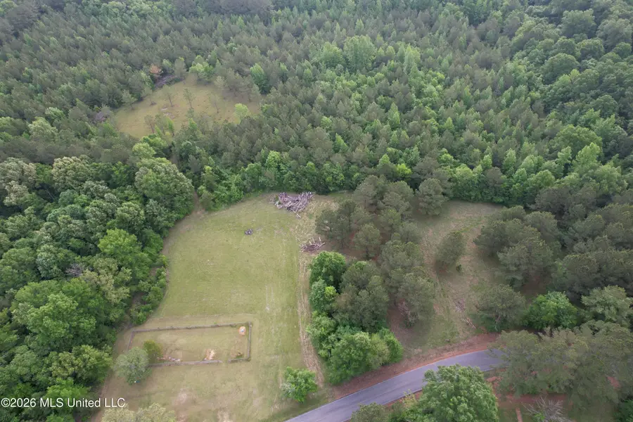 Haynes Chapel Road, Pelahatchie, MS 39145 - #2