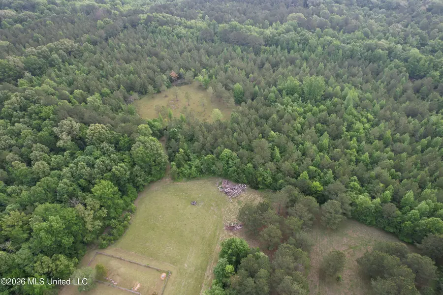 Haynes Chapel Road, Pelahatchie, MS 39145 - #3