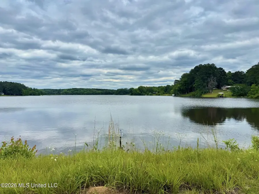 2184 Hurricane Lake Drive, Brookhaven, MS 39601 - #2