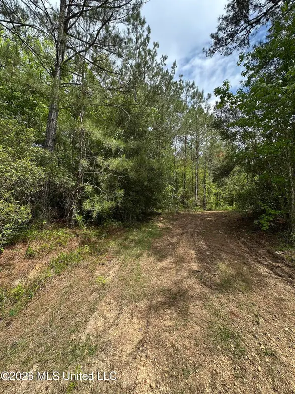 1873 F E Sellers Highway, Monticello, MS 39654