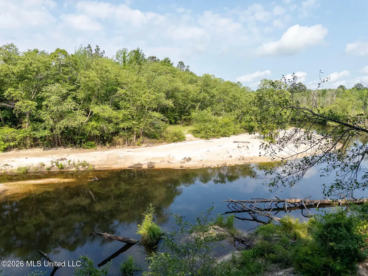 Gravel Pit Lake Road, Beaumont, MS 39423 - #1
