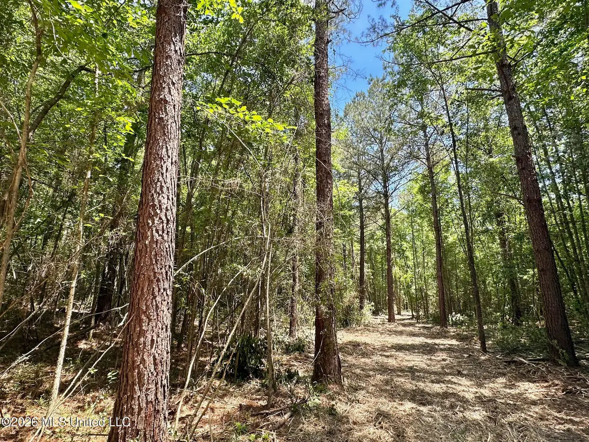 0 Mcnair Springs Road, Magee, MS 39111 - #1