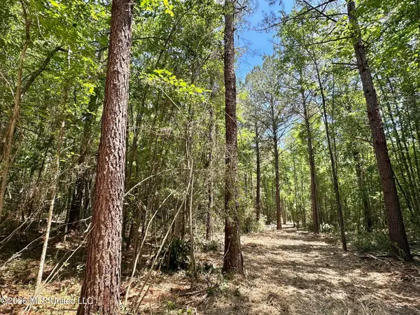 0 Mcnair Springs Road, Magee, MS 39111