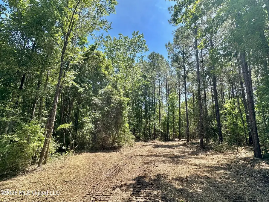 1 Mcnair Springs Road, Magee, MS 39111 - #2
