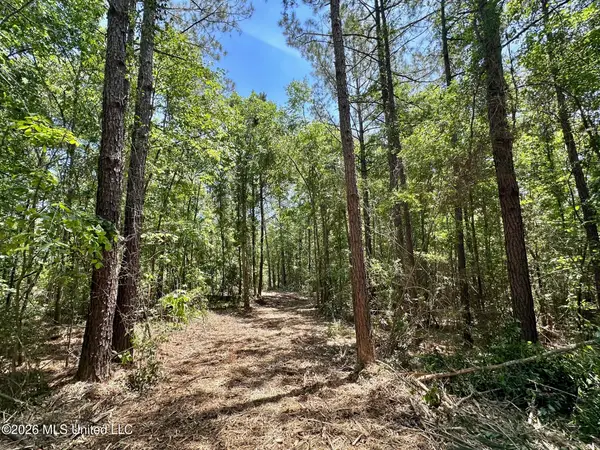 2 Mcnair Springs Road, Magee, MS 39111