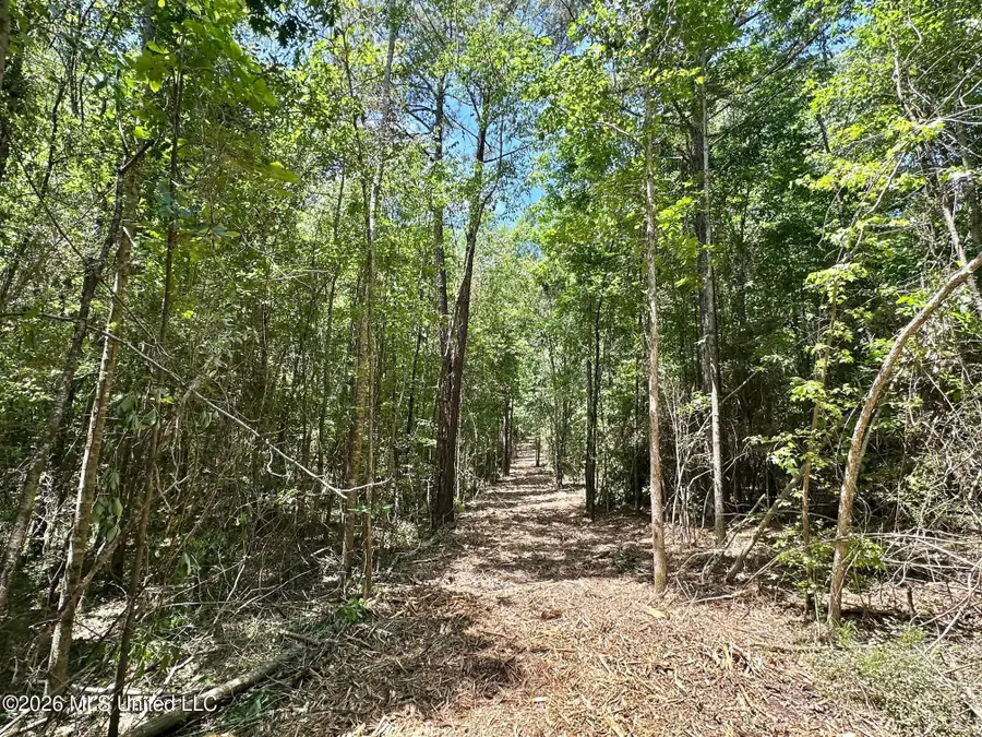 2 Mcnair Springs Road, Magee, MS 39111 - #2
