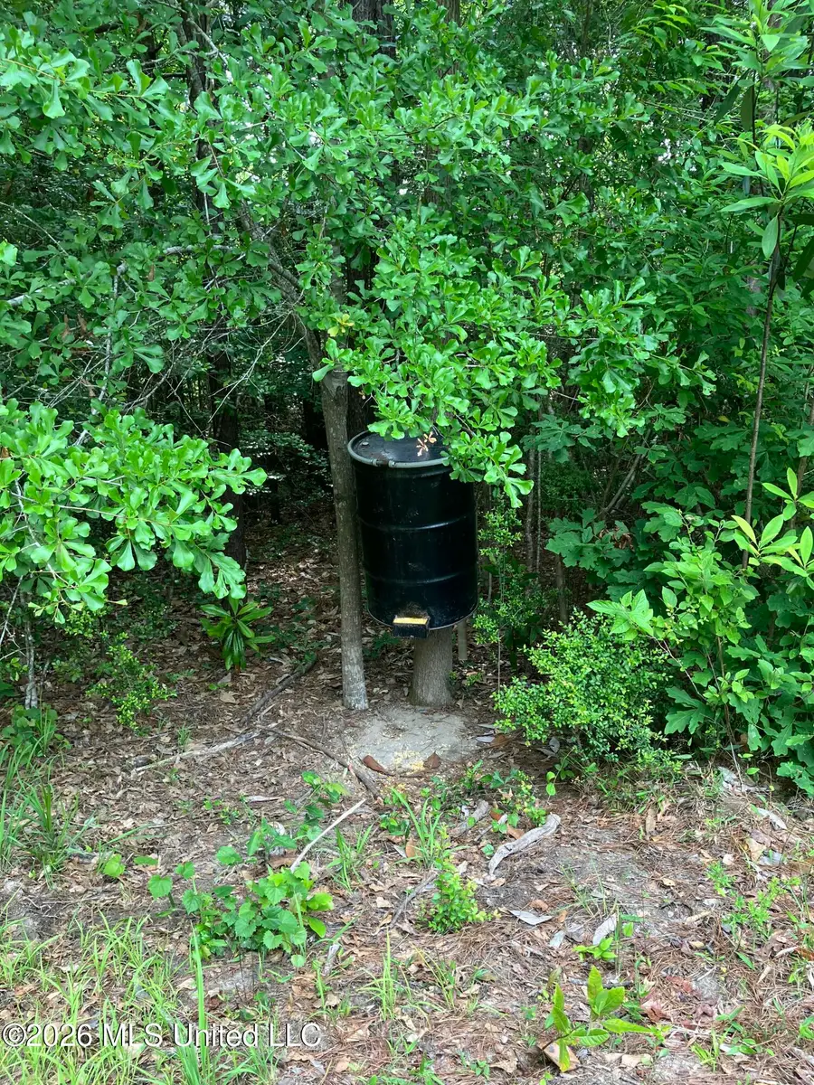 40 Acres Forestry Road 356, Beaumont, MS 39423 - #2