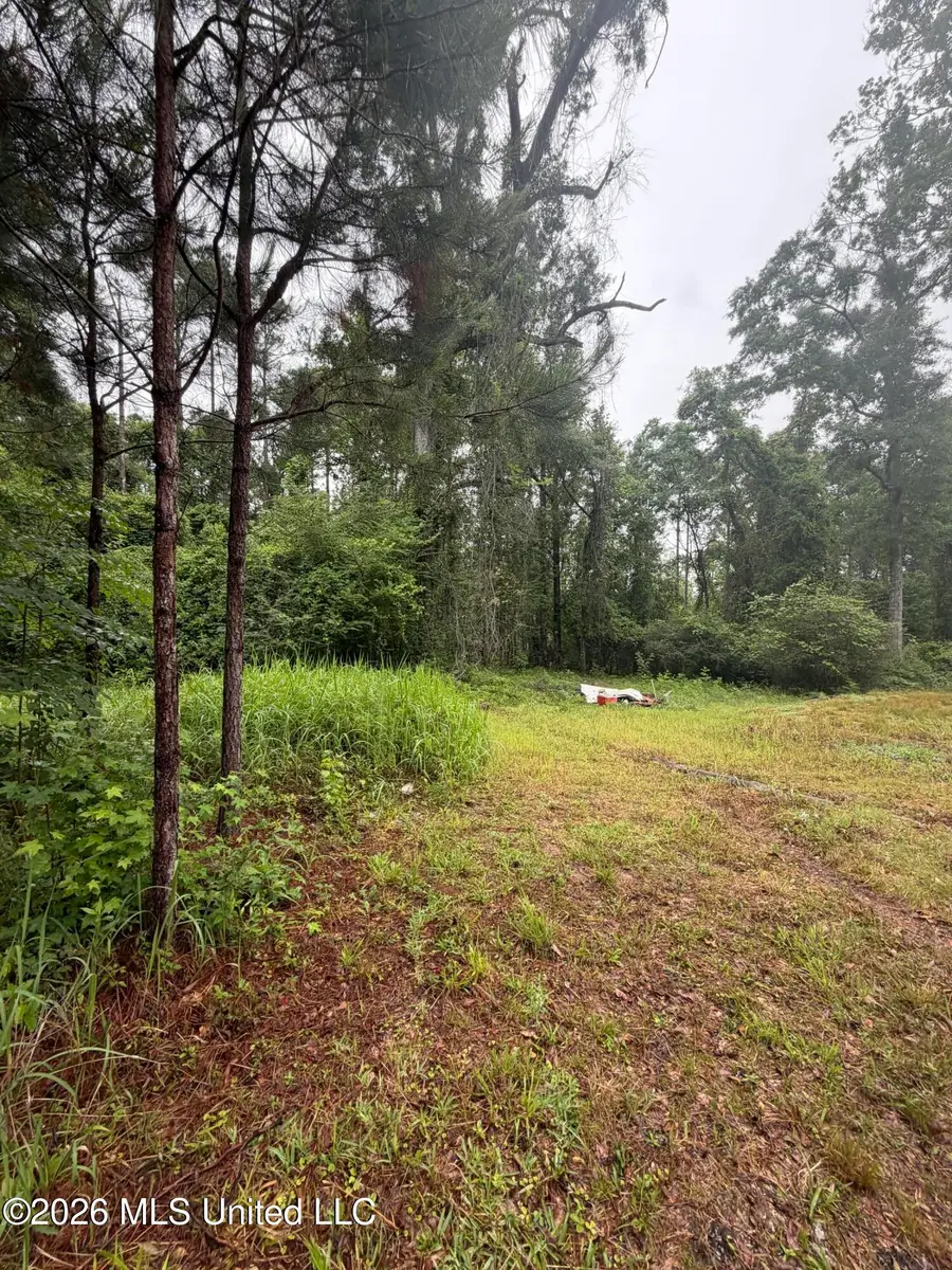 68 Robert Miller Road, Leakesville, MS 39451 - #3