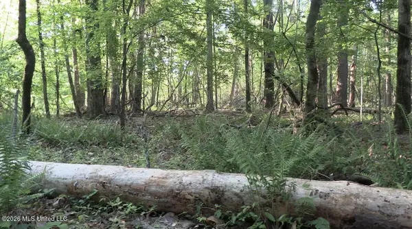 Bell Bottom Road, Redwood, MS 39156