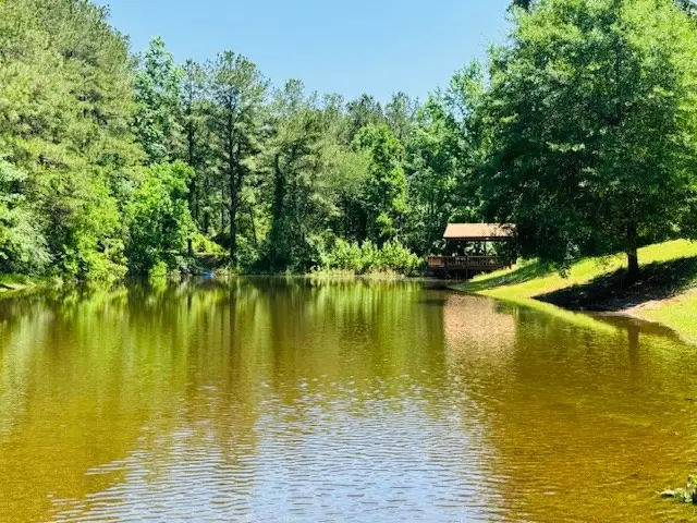 107 Brock Road, Tylertown, MS 39667 - #3