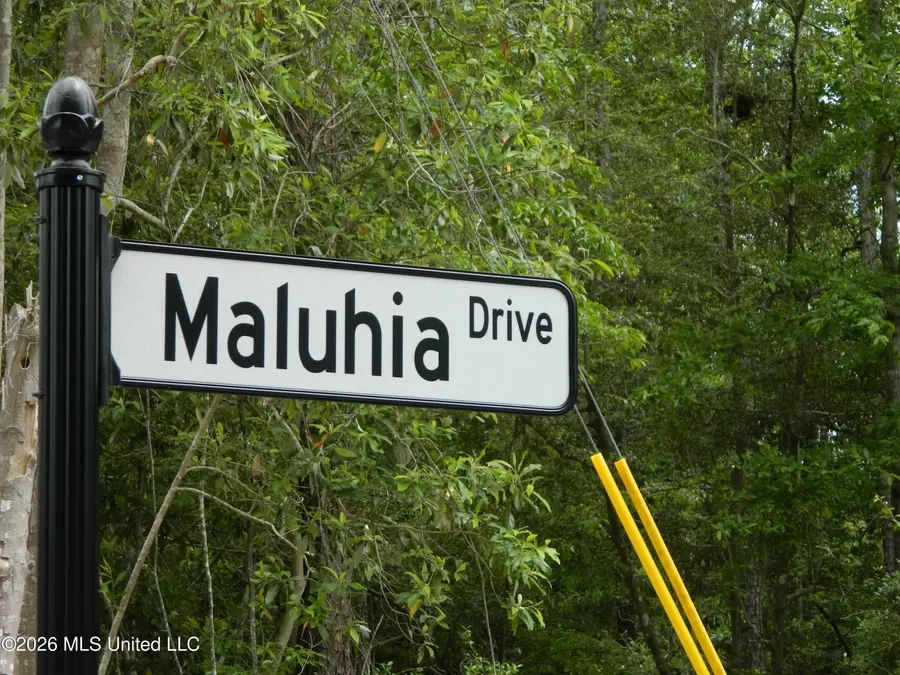 6415 Maluhia Drive, Diamondhead, MS 39525 - #3