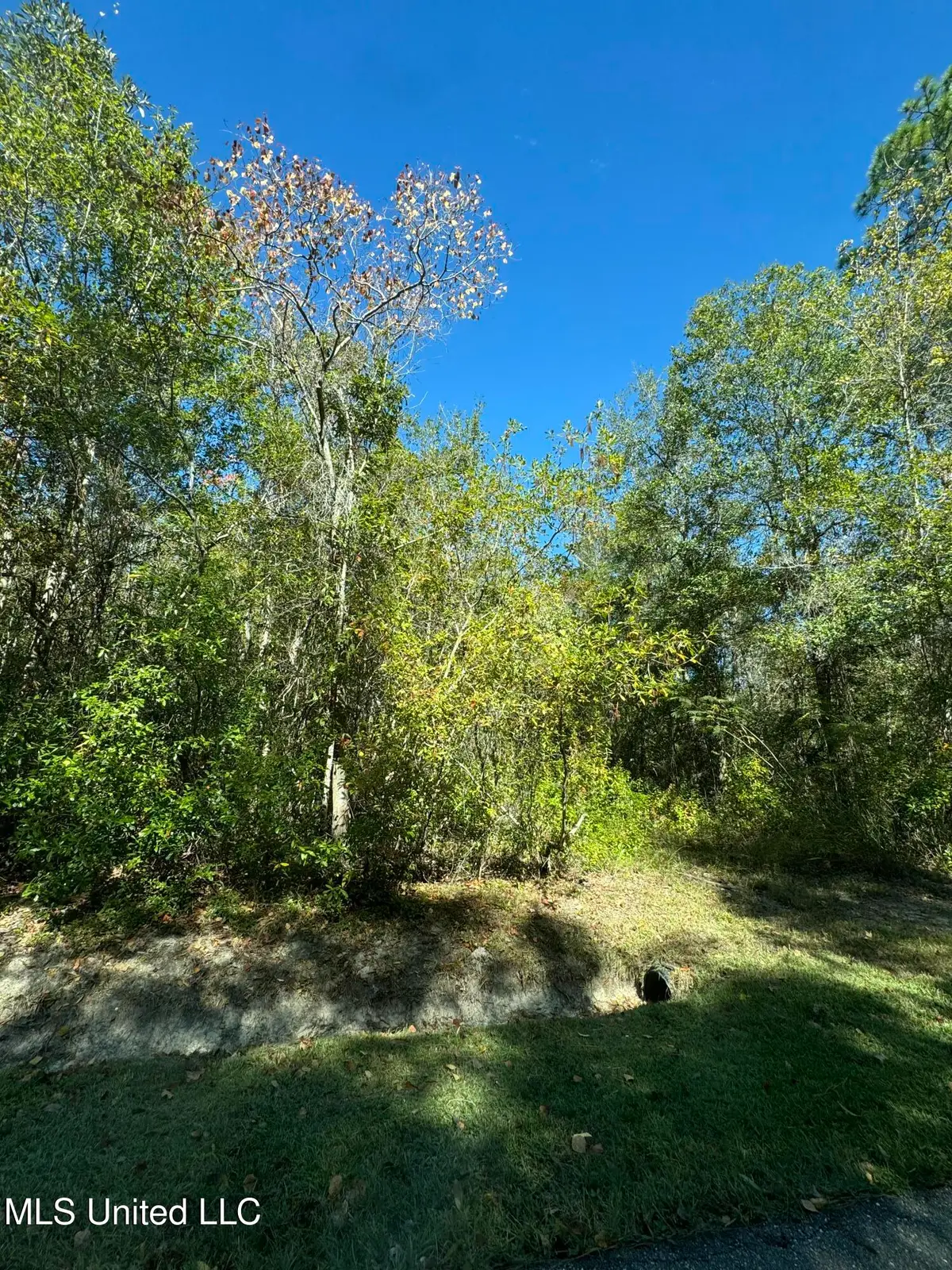 Indian Street, Bay Saint Louis, MS 39520 - #1