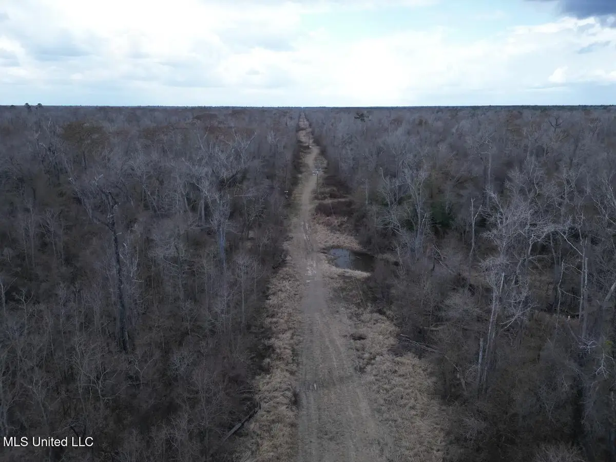 2600 Martin Tram Road, Reeves, LA 70658 - #1