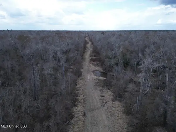 2600 Martin Tram Road, Reeves, LA 70658