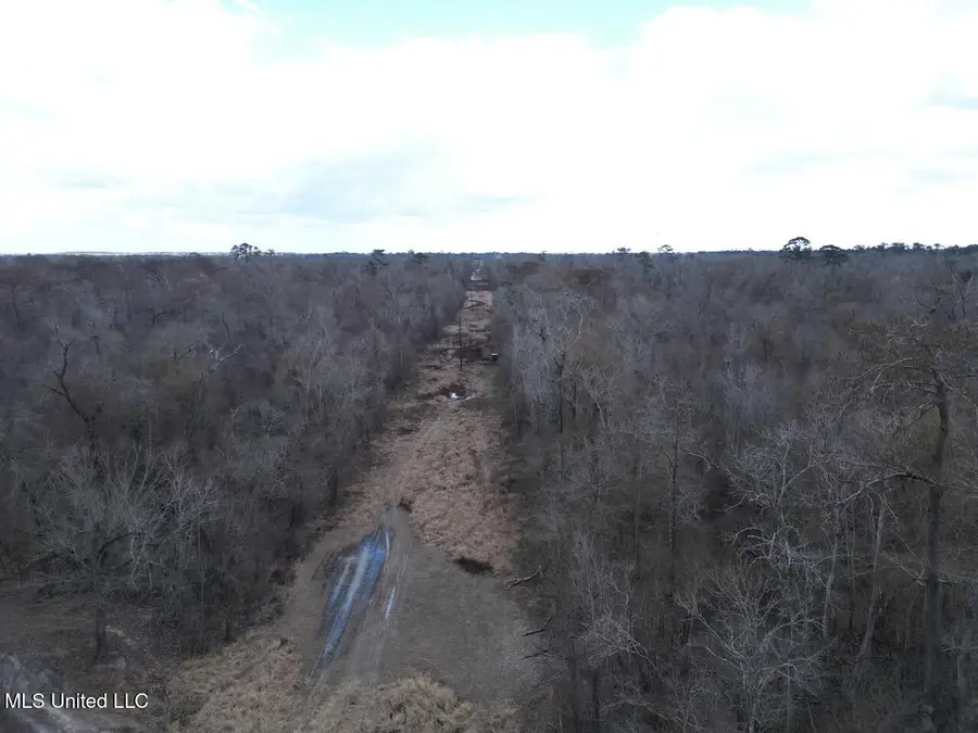 2600 Martin Tram Road, Reeves, LA 70658 - #2