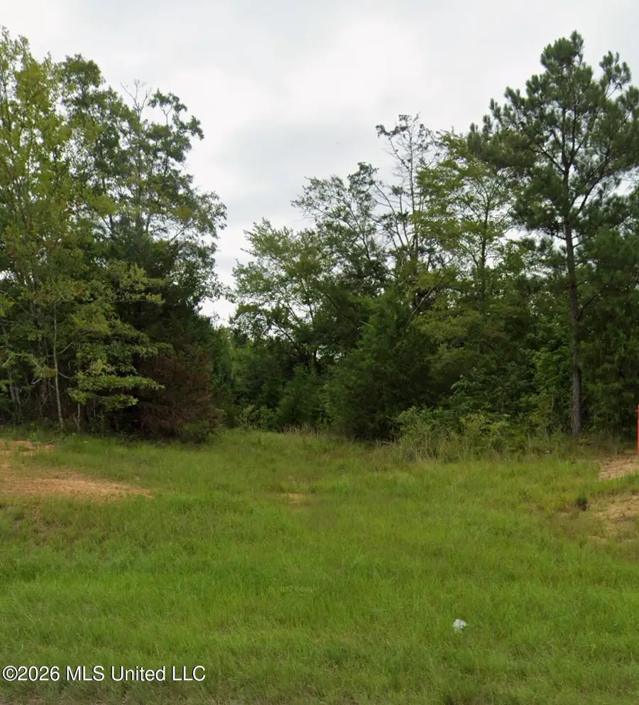 0 Hwy 51, Hazlehurst, MS 39083 - #2