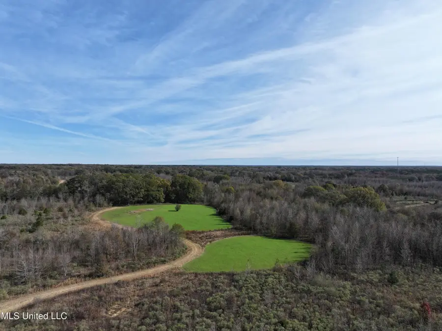 1066 Old Yazoo City Road, Canton, MS 39046 - #2