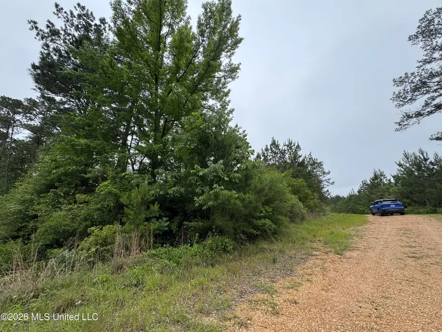 35 Parker Road, Crosby, MS 39633 - #2