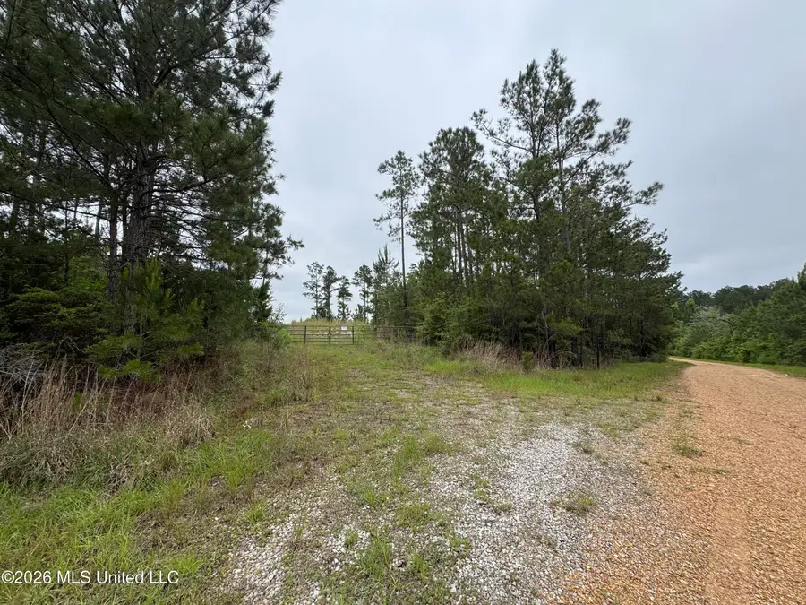35 Parker Road, Crosby, MS 39633 - #3