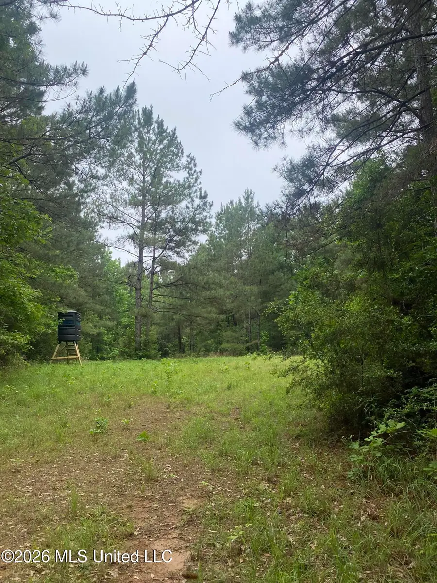 Tbd 48 NE S Of St, Gloster, MS 39638 - #3