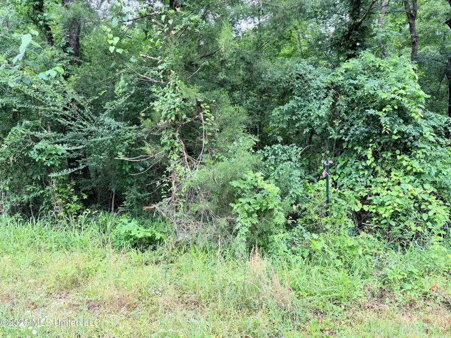 0 Parsons Road, Raymond, MS 39154 - #2