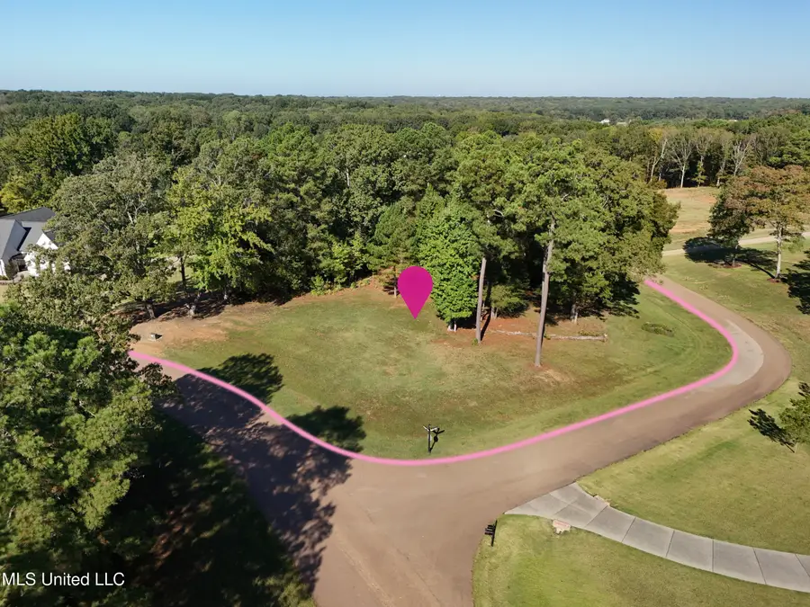 Ginners Lane And Plank Road, Hernando, MS 38632 - #2