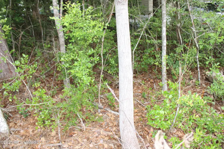 N 15th Street, Ocean Springs, MS 39564 - #3