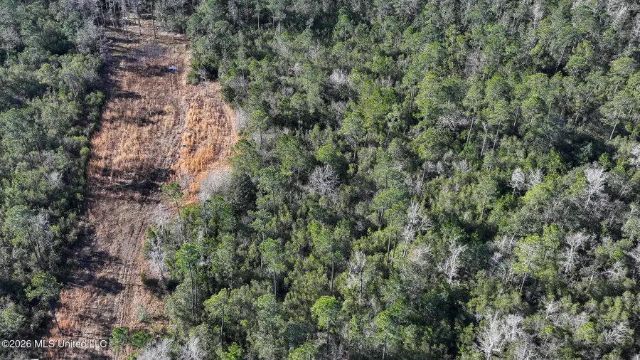 Cable Bridge Road, Pass Christian, MS 39571 - #2