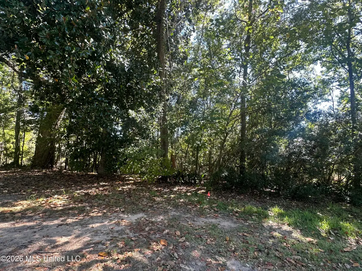 Baywood Drive, Moss Point, MS 39563 - #1