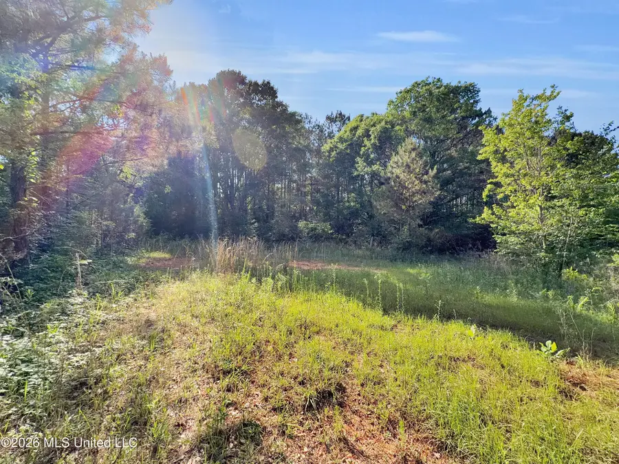 0 Risher, Carthage, MS 39051 - #2