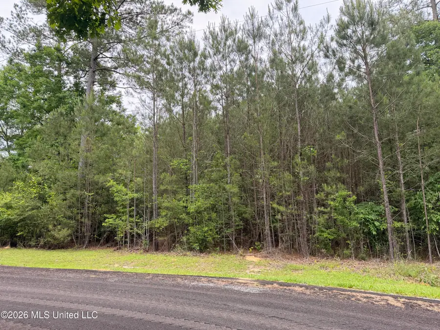 Claudette Ln, McComb, MS 39648 - #2