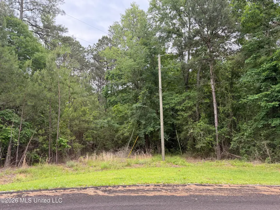 Claudette Ln, McComb, MS 39648 - #3