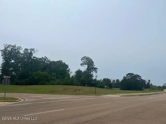 SE Colony Park Boulevard, Ridgeland, MS 39157 - #3