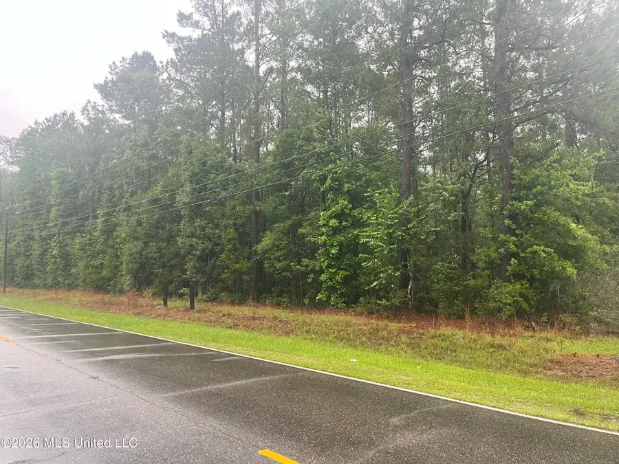 Burnt Bridge Road, Picayune, MS 39466 - #2