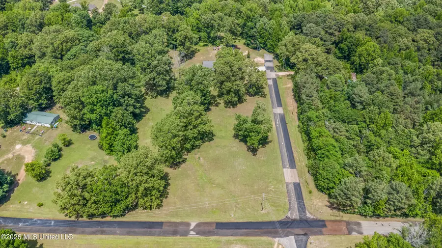 6759 Trinity Drive, Hernando, MS 38632 - #2