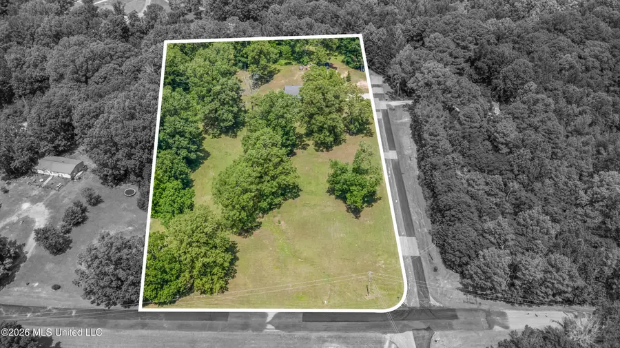 6759 Trinity Drive, Hernando, MS 38632 - #3
