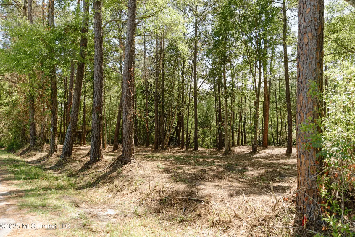 Honduras Drive, Gautier, MS 39553 - #1