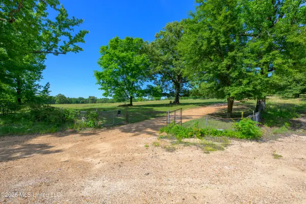 Martin Luther King Jr. Drive, Holly Springs, MS 38635