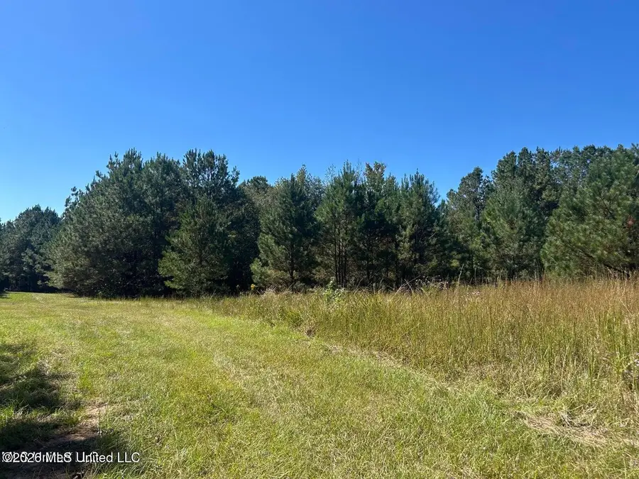221ac Skyline Road, Meridian, MS 39301 - #3