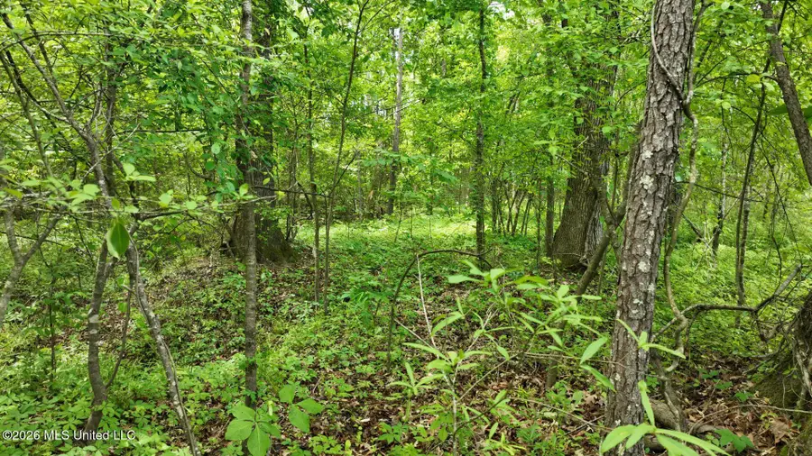 0 Snake Creek Road, Raymond, MS 39154 - #3